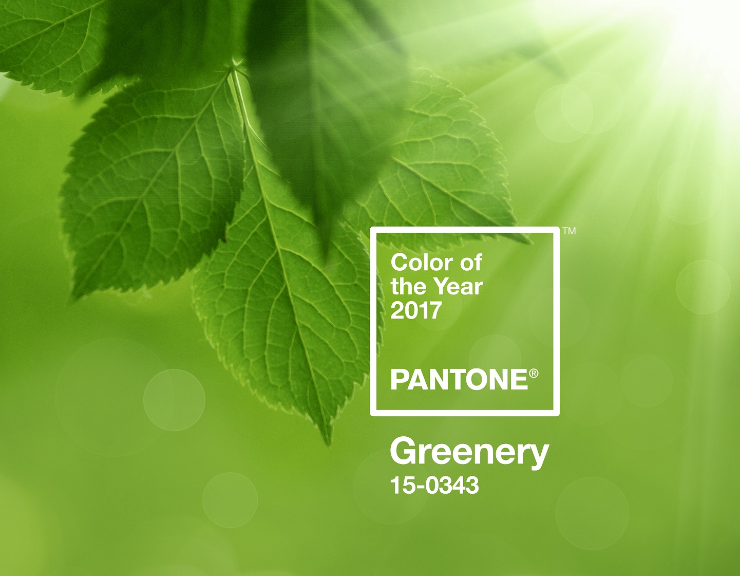 Farbe des Jahres 2017: PANTONE 15-0343 Greenery