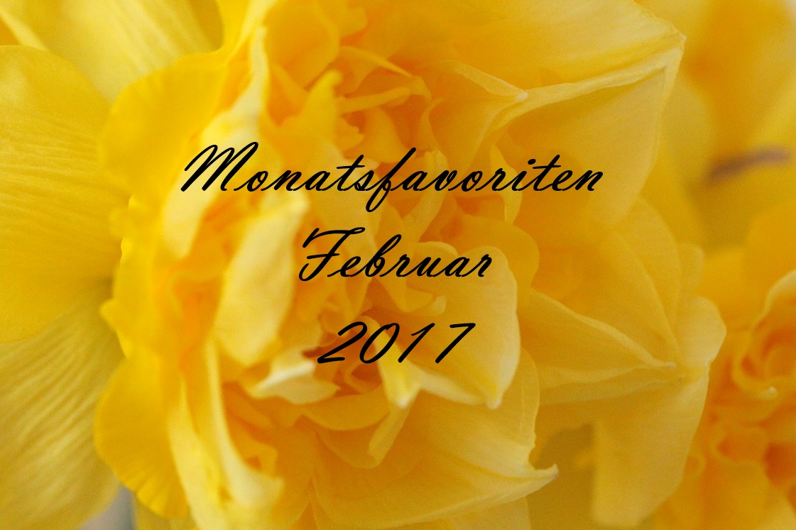 Monatsfavoriten_Februar 2017_Header