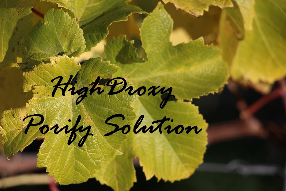 HighDroxy_Porify_Solution_header-das-leben-ist-schoen