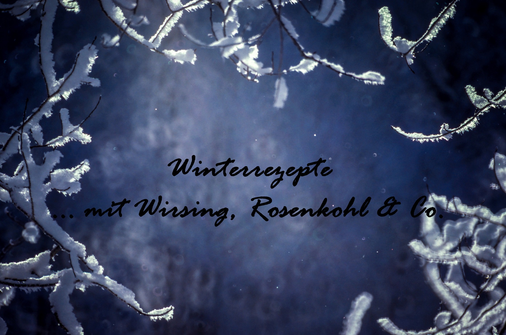 (Herbst-) und Winterrezepte mit Wirsing, Rosenkohl & Co.